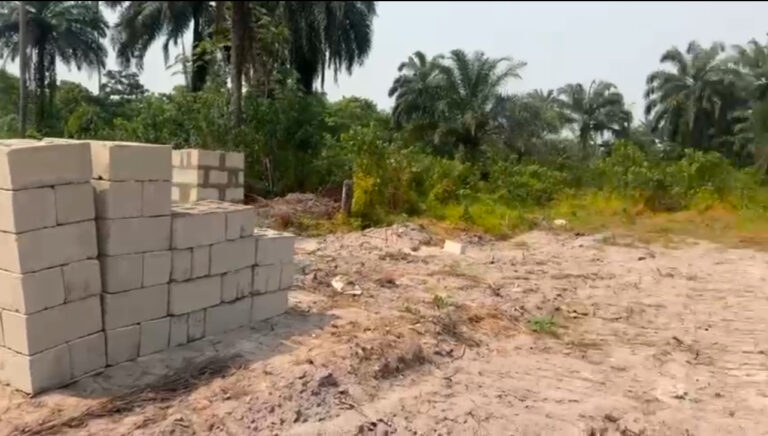 What is the Difference Between Land Banking and Land Flipping?