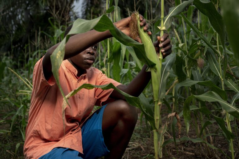 How to Invest in Farmland in Nigeria
